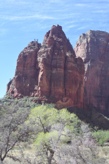 A landscape photograph showcasing the towering sandstone cliffs of Zion National Park, with the Virgin River flowing through the canyon floor. Lush greenery contrasts with the red rock formations, and hikers can be seen on a trail in the distance.