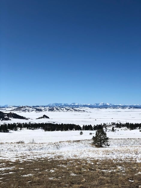 Discover US National Parks in Winter: A Snowshoeing & Wildlife Itinerary
