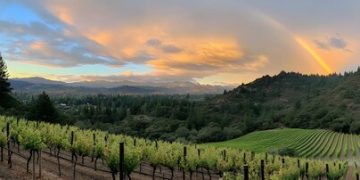 5-Day US Wine Tour: Vineyards & Award-Winning Wines - Cover Image