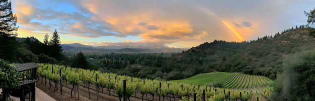 5-Day US Wine Tour: Vineyards & Award-Winning Wines