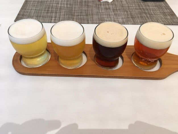 A close-up shot of four different craft beers in stemmed glasses, each showcasing a distinct color and style: a hazy IPA, a dark stout, a crisp pilsner, and a reddish-brown amber ale, capturing their textures and clarity.