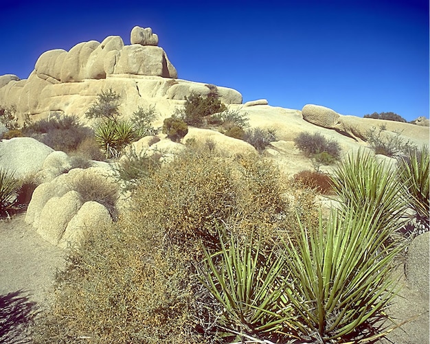 5-Day US Desert Oasis Itinerary: Discover Hidden Gems