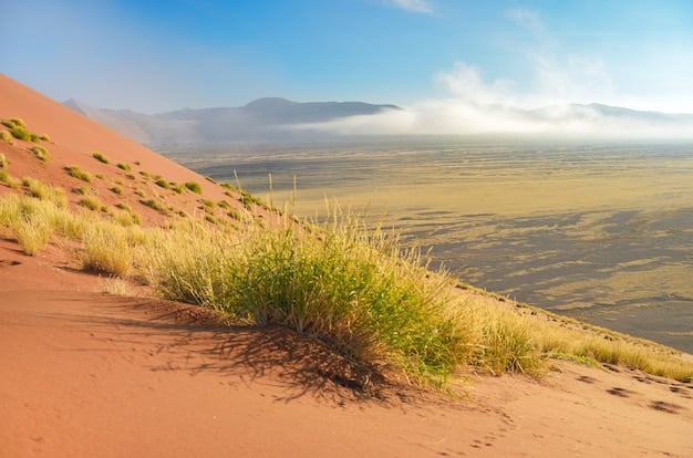 A panoramic view of a desert landscape with a vibrant oasis in the foreground, showcasing diverse plant life, a small pool of water, and distant mountains under a clear blue sky.