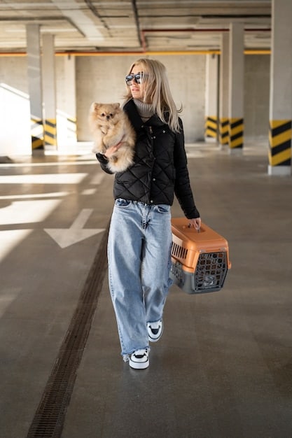 A woman calmly walking her leashed dog through an airport terminal. The dog is wearing a comfortable harness, and the woman has a pet carrier in tow, showcasing responsible pet travel.