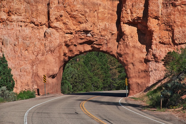 A winding road cuts through the red rock formations of Sedona, Arizona, with lush green vegetation contrasting against the vibrant landscape. The image captures the beauty and serenity of Sedona, a popular destination for those seeking outdoor adventures and spiritual experiences. The red rock formations highlight why Is a 5-Day US Southwest Adventure Right for You?.