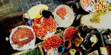 The Ultimate US Foodie Adventure: Your 10-Day Culinary Itinerary - Cover Image