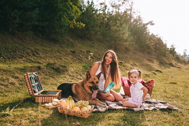 A family enjoying a picnic in a park with a scenic mountain view in the background. The scene is bright and cheerful.